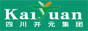 四川省开元集团有限公司