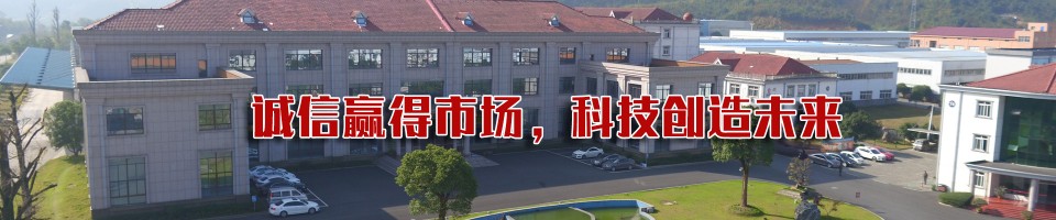 安徽瑞泰新材料科技有限公司