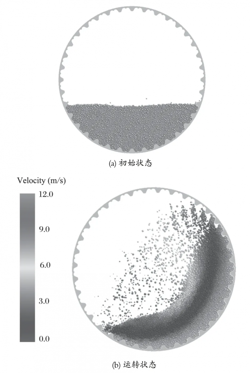7.webp